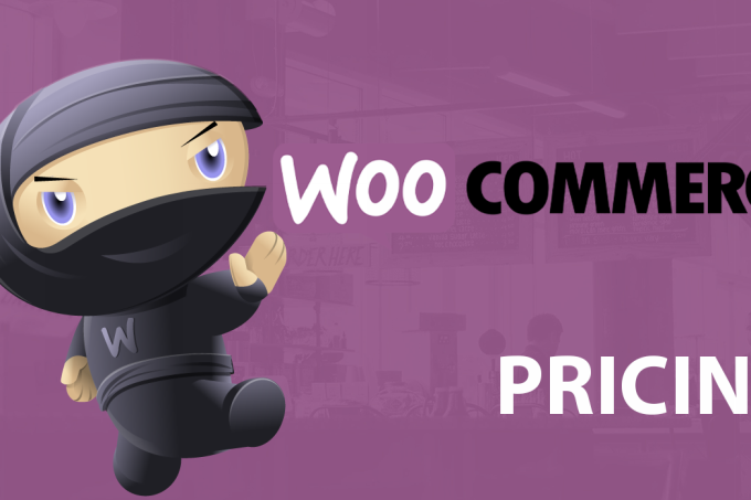 Full Information to WooCommerce Pricing: The Value of an On-line Retailer